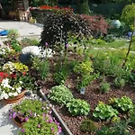 Gospodarstwo agroturystyczne Nel Giardino Di Dafne