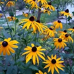 Nel Giardino Di Dafne Gospodarstwo agroturystyczne *