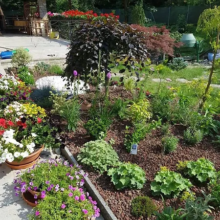 Alloggio per agriturismo Nel Giardino Di Dafne