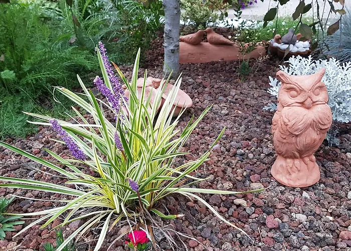 Nel Giardino Di Dafne Vakantieboerderij