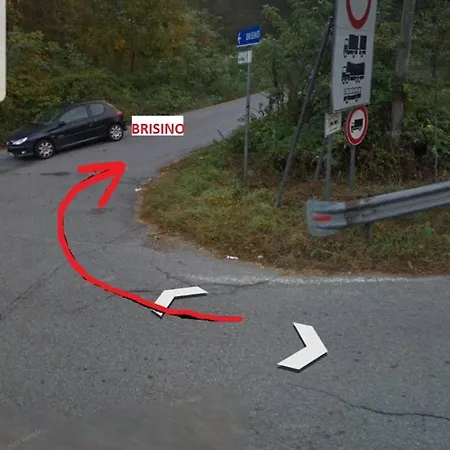 Nel Giardino Di Dafne *