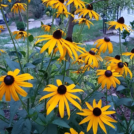 Nel Giardino Di Dafne Фермерский дом *